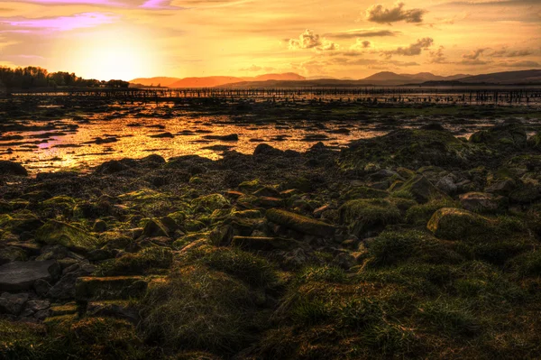 Un colpo di riva di un fiume a Largs — Foto Stock