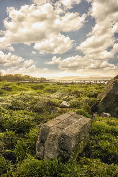 Largs nehir bankada bir kadeh — Stok fotoğraf