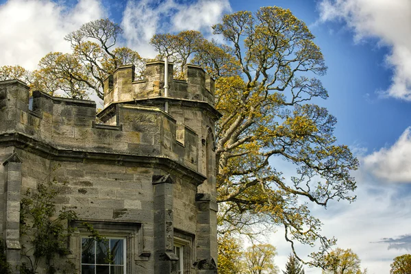 Vue spectaculaire sur le château — Photo