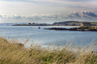 Elie coast through grass clipart