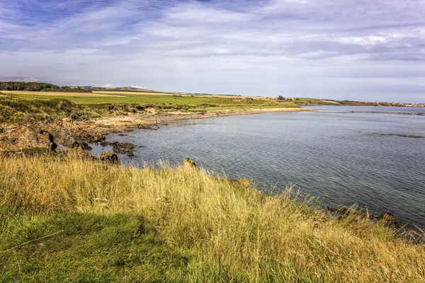 Pretty coastline — Stock Photo, Image