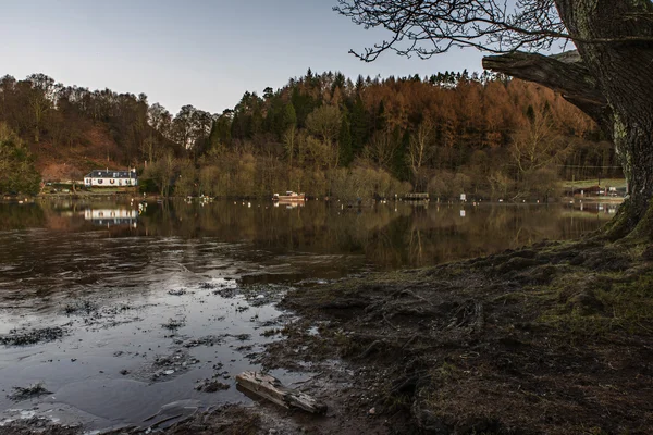 Frosty banks of Loch Lomond — Stock Photo, Image