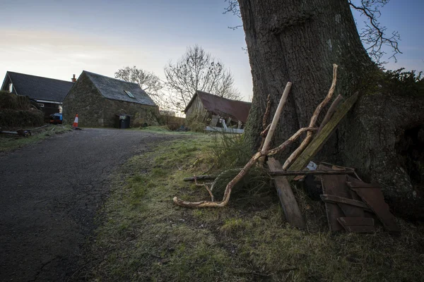 Vieux bâtons de bois contre l'arbre dans la cour à ferraille — Photo