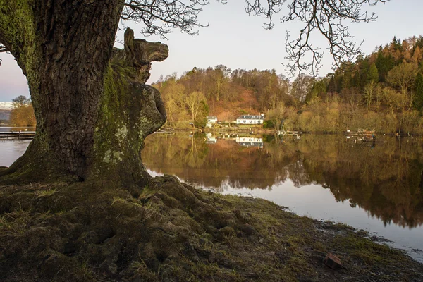 Tree reflections in a scottish loch — Stock Photo, Image