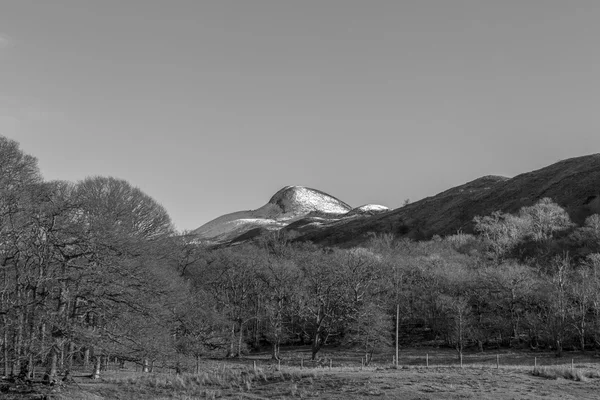 Visão longa em preto e branco de uma montanha coberta de neve — Fotografia de Stock