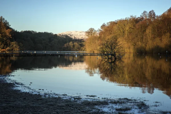 Frosty boom reflecties Loch Lomond in Schotland — Stockfoto