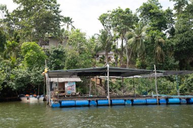 Kalutara, Sri Lanka 07. 02 numara. 2023.Balık çiftliği spa pedikür ya da ayak için balık terapisi. Garra Rufa tedavisi olarak bilinir. Sri Lanka nehri. Bazı altın balıklar insanın ayağını tatlı suya akıtıyor.