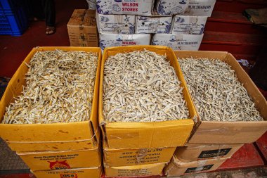 Colombo, Sri Lanka. 02 / 03 / 2023 Sri Lanka 'daki yerel pazarda düzenli olarak satılan çeşitli tropikal sebzeler. Kurutulmuş tuzlu balık