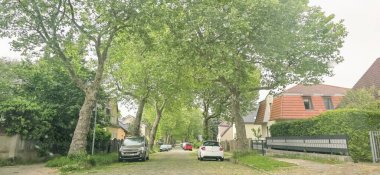 Berlin, Almanya - 18 Mayıs 2025: Ağaç sıralı caddeler park halindeki arabaları ve her iki tarafta da yemyeşil yaprakları barındırıyor.