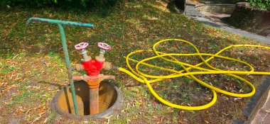 Su vanası, çimenli zeminde güneş ışığıyla aydınlatılmış renkli hortumlara sahiptir..