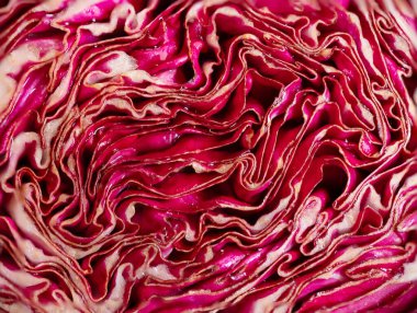 Canlı kırmızı lahananın yakın plan görüntüsü, yaprakların karmaşık desenlerini ve dokularını vurgulamak, görsel olarak çekici bir doğal tasarım yaratmak,.