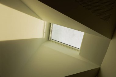 Koca göbekli domuz. Mimari tavan penceresi geometrik çizgilere sahiptir. Yumuşak doğal ışığın iç mekanı sakin bir atmosferle aydınlatmasına izin verir.