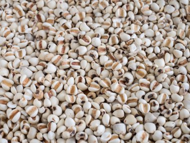 Projenin-gözyaşları arka plan