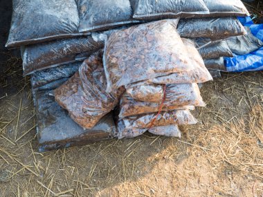 Talaş ve plastik torbalarda gübre