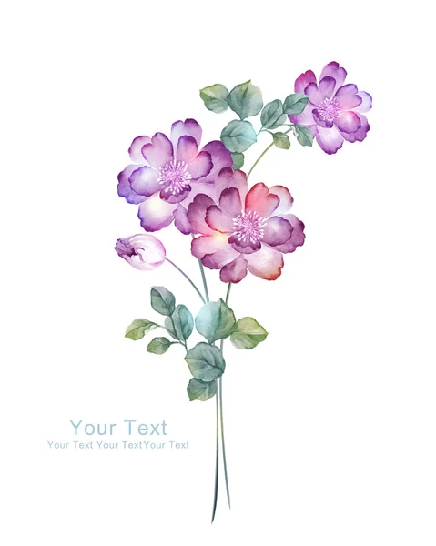 Akwarela Ilustracja kwiaty — Zdjęcie stockowe