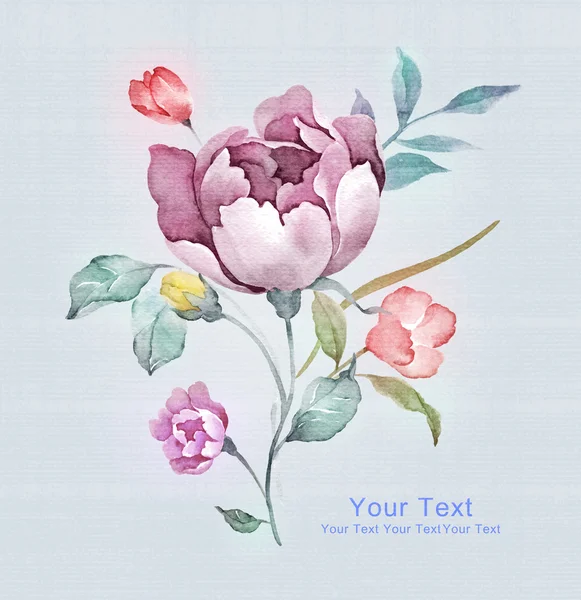 Akvarel květy jednoduché pozadí — Stock fotografie