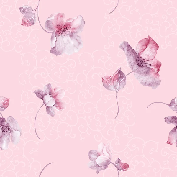 Beautiful brignt flowers, background — Stock Photo, Image