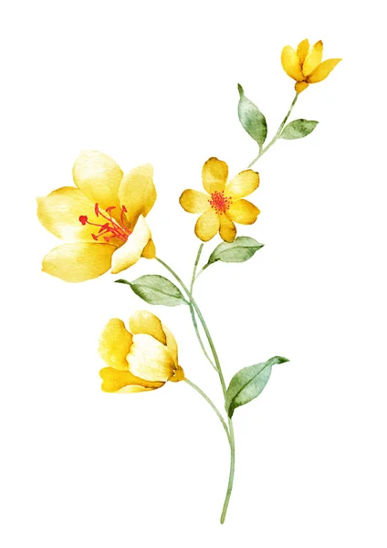 Akvarell illustration blomma — Stockfoto