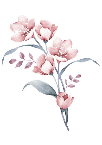 Aquarela ilustração flor — Fotografia de Stock