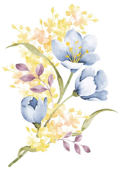 Watercolor illustration flower — Stock Photo, Image