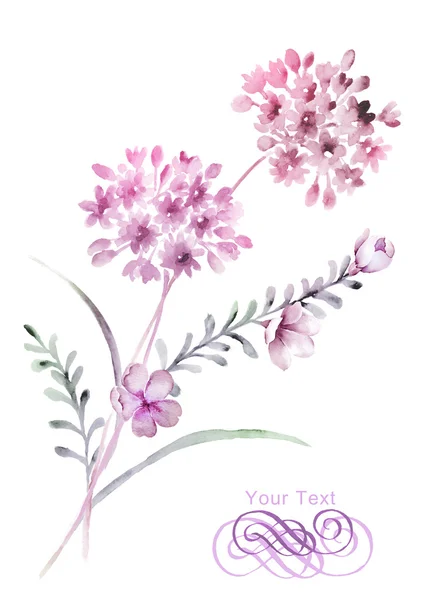 Watercolor illustration flowers — Stock Photo, Image