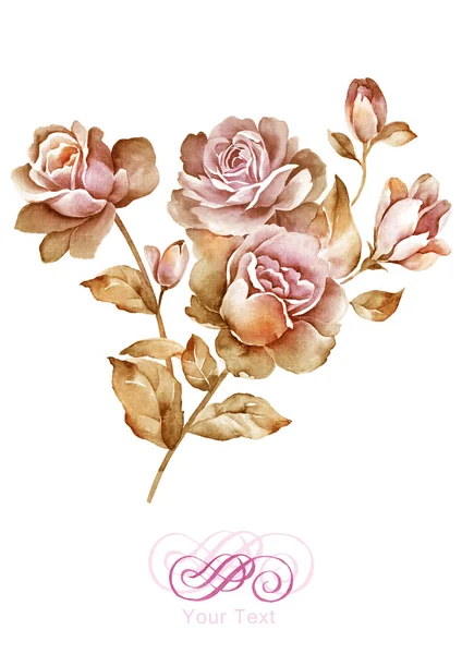 Akvarel ilustrace květiny — Stock fotografie