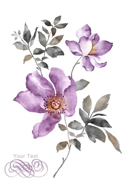 Aquarela ilustração flor — Fotografia de Stock