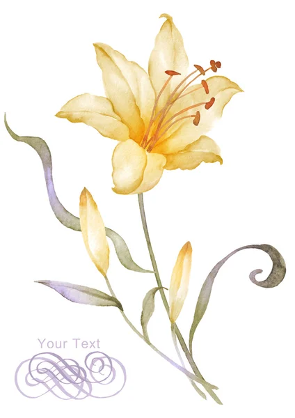 Acquerello fiore illustrazione — Foto Stock