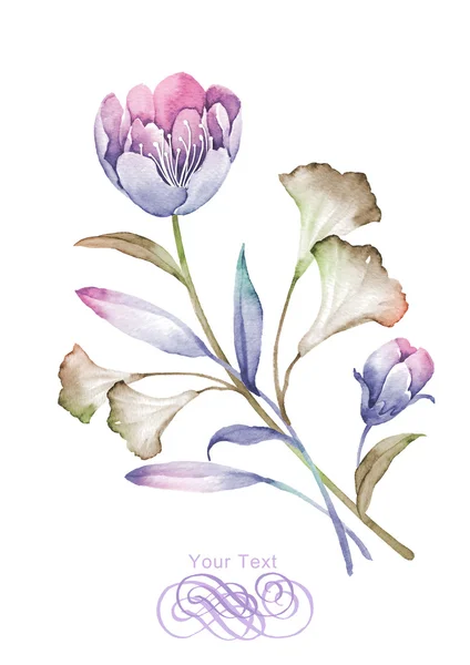 Sulu Boya çizim çiçek — Stok fotoğraf