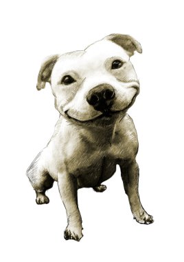 Kroki şirin köpek
