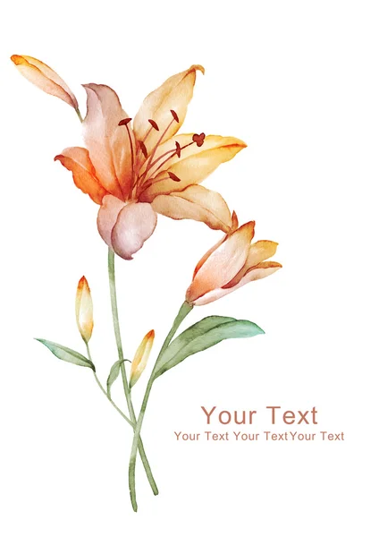 Suluboya çiçek renkli