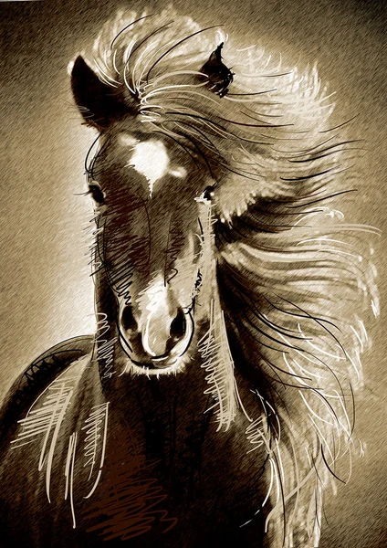 Painting purebred horse — Stock Photo, Image