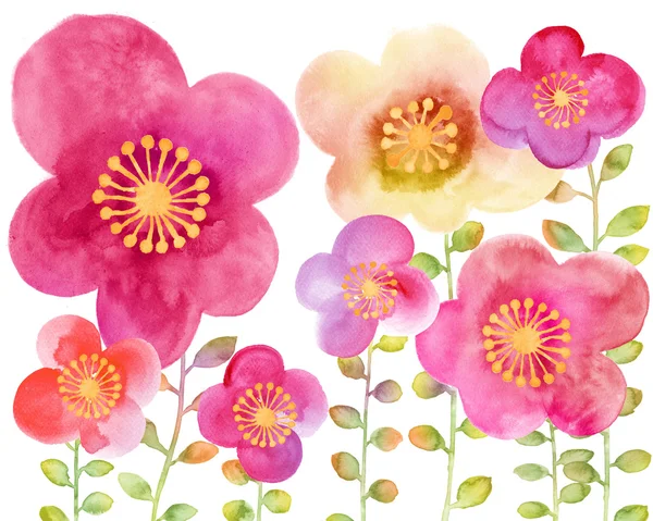 Watercolor illustration flowers — Stock Photo, Image