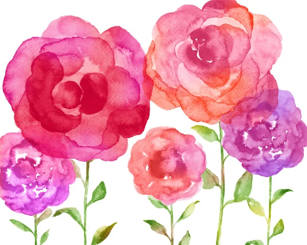 Watercolor illustration flowers — Stock Photo, Image
