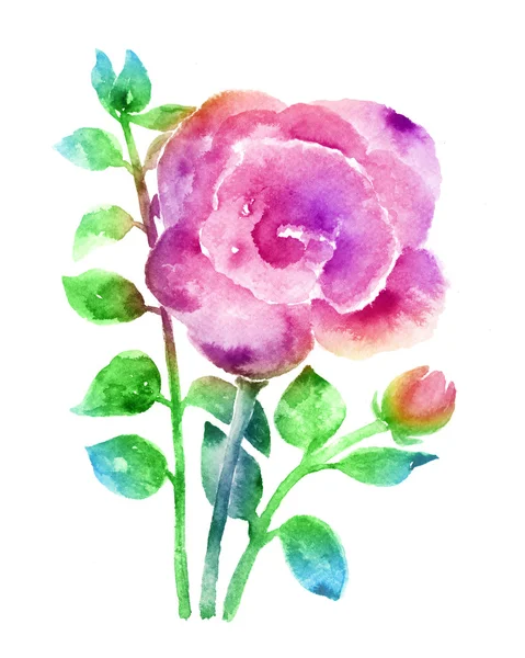 Akvarel illustration blomster - Stock-foto