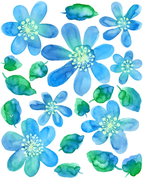 Aquarela ilustração flores — Fotografia de Stock