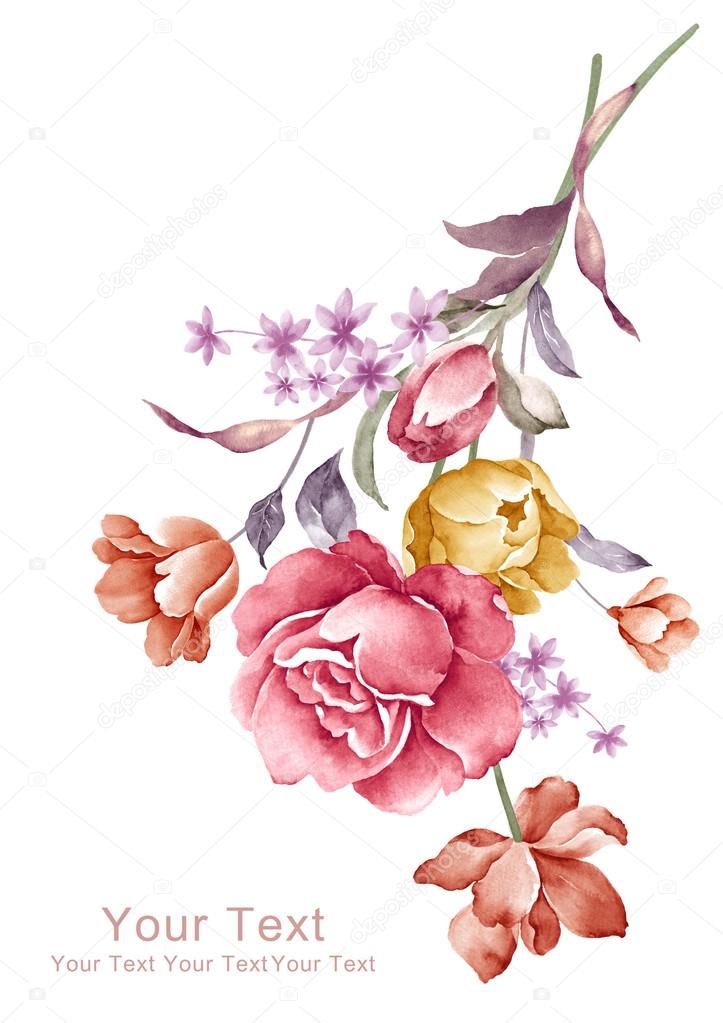 watercolor illustration flowers