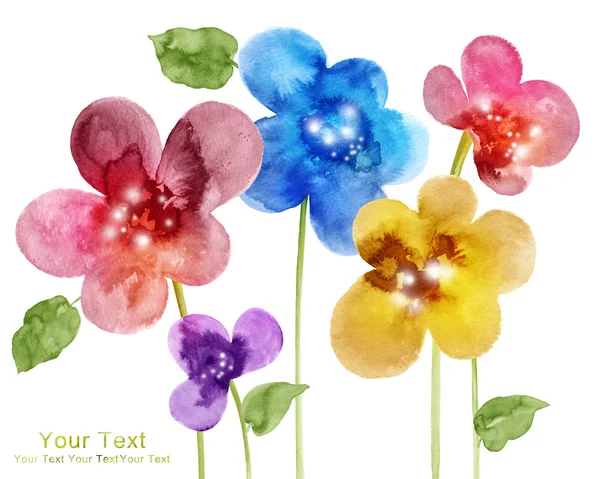 Aquarelle illustration fleurs — Photo