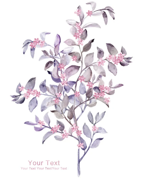 Цветы акварели — стоковое фото