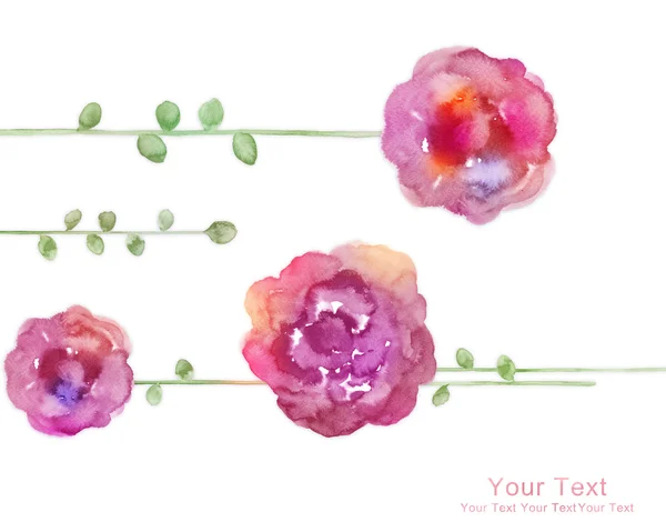 Aquarelle illustration fleurs — Photo