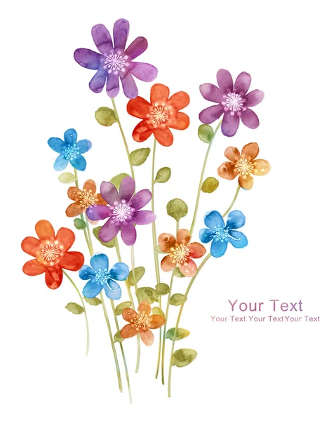 Acuarela ilustración flores —  Fotos de Stock
