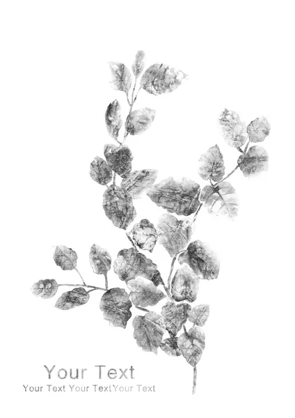 Flores em fundo simples — Fotografia de Stock