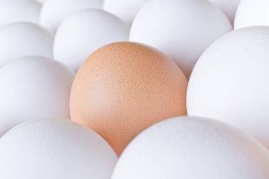 Birçok beyaz ve kahverengi taze tavuk yumurta ile arka plan