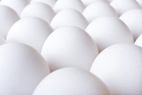 Background with many white fresh chicken eggs — Stock Photo, Image