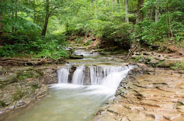 Saunders Springs şelale — Stok fotoğraf