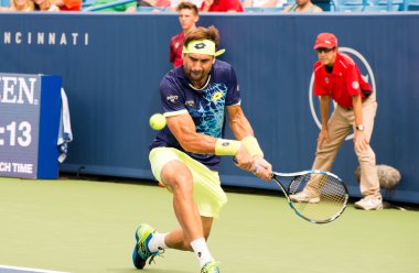 Mason, Ohio - 15 Ağustos 2016: David Ferrer 15 Ağustos 2016'da Mason, Ohio'daki Western and Southern Open'da ilk tur maçında. 