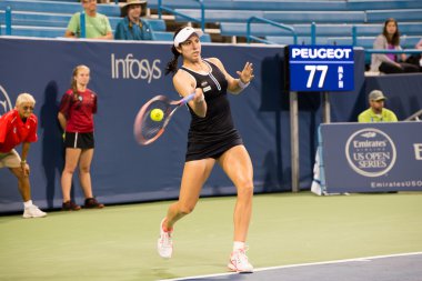 Mason, Ohio - 15 Ağustos 2016: Christina Mchale 15 Ağustos 2016'da Mason, Ohio'daki Western and Southern Open'da. 
