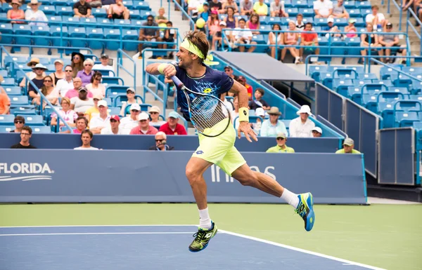 Mason, Ohio - August 15, 2016: David Ferrer  in a first round match at the Western and Southern Open in Mason, Ohio, on August 15, 2016. — Stock Photo, Image