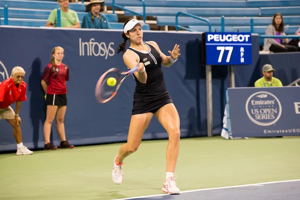 Mason, Ohio - 15 Ağustos 2016: Christina Mchale 15 Ağustos 2016'da Mason, Ohio'daki Western and Southern Open'da. Telifsiz Stok Fotoğraflar