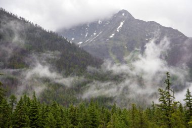 Montana 'daki Buzul Ulusal Parkı' nın dağ manzarası.